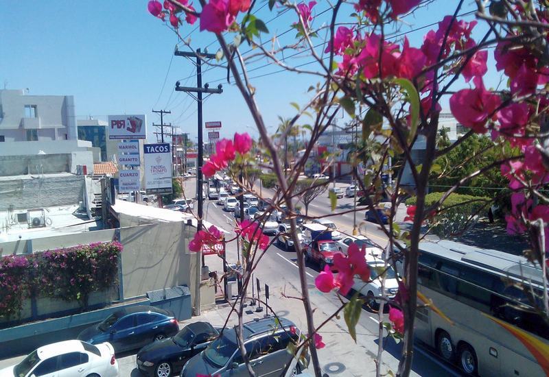 Hotel Mazatlan Exterior photo